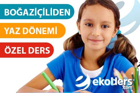 Yaz dönemi Teog özel ders