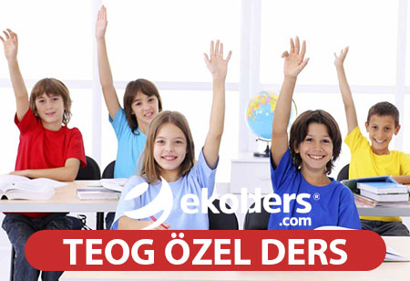 İstanbul da tecrübeli öğretmenden Teog özel dersleri, Teog matematik özel ders, Teog Fen bilgisi özel ders, Teog Türkçe özel ders, Teog özel ders veren öğretmen